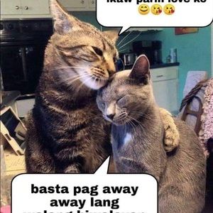 Meet your Posher, Edison